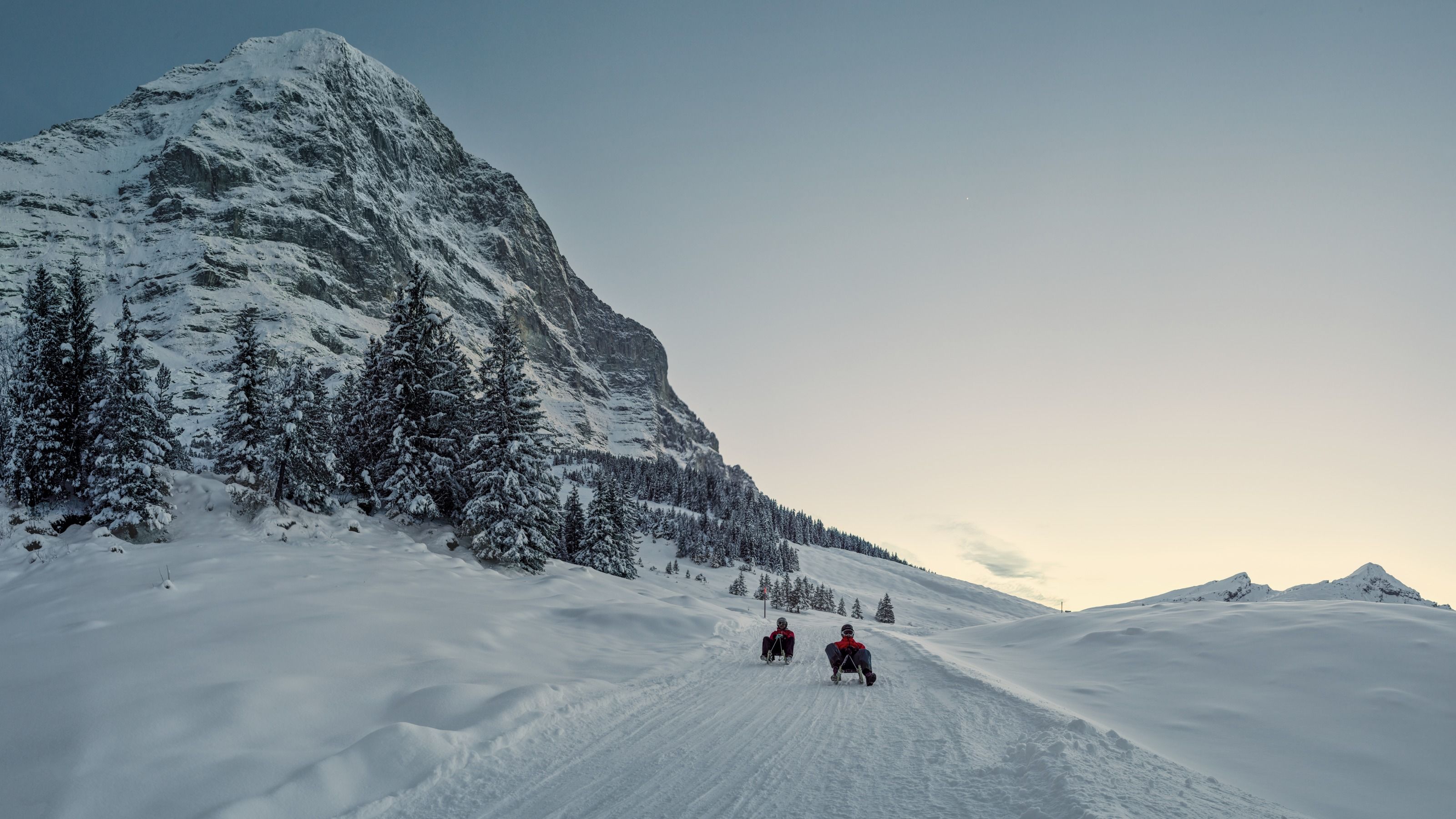 Tobogganing Switzerland Tourism
